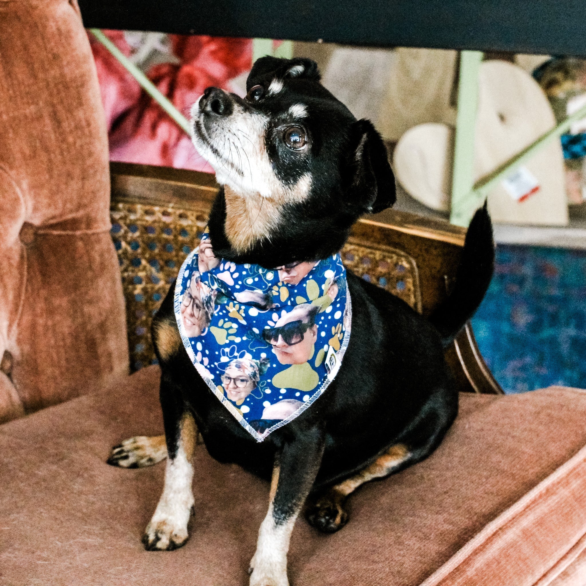 Custom Pet Bandana &amp; Headband Bundle - The Sassy Olive