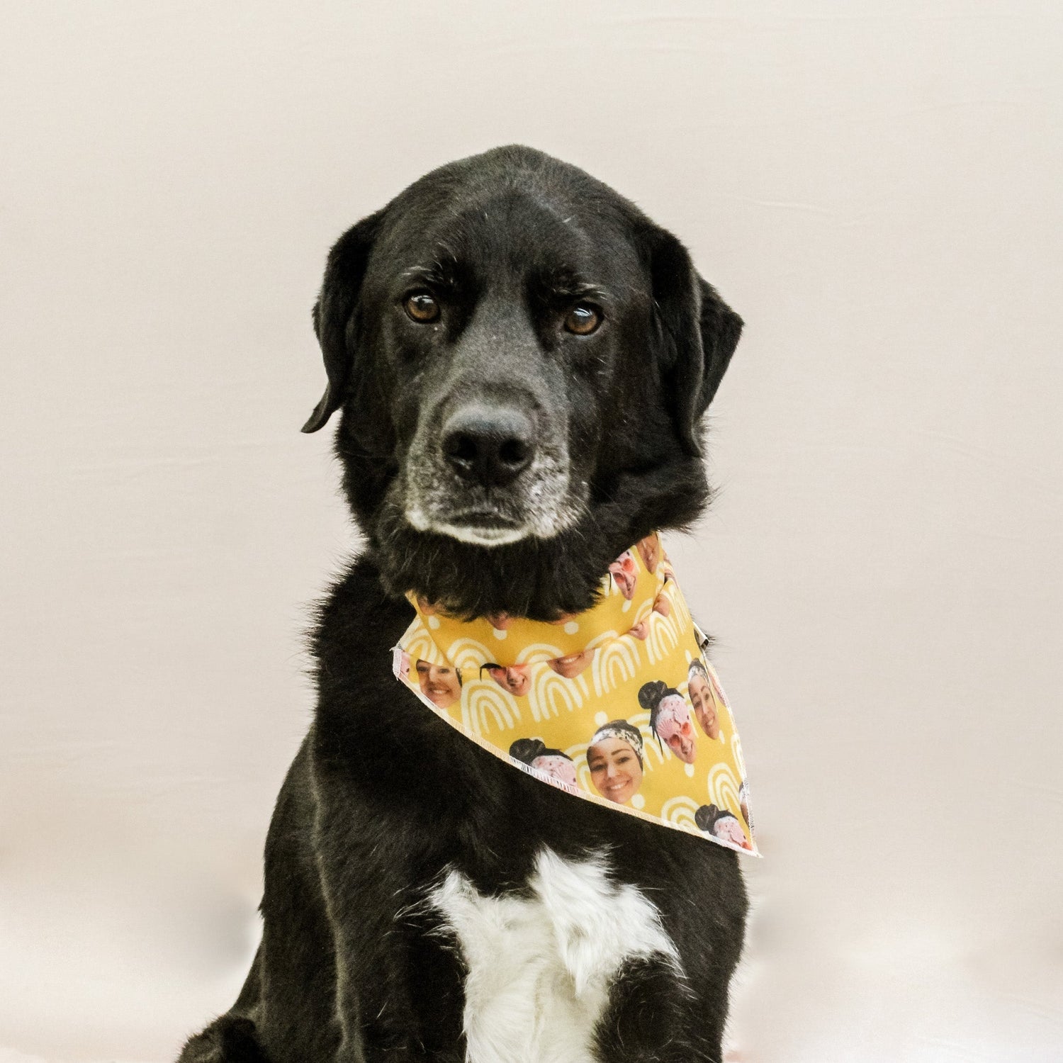 Custom Pet Bandana &amp; Headband Bundle - The Sassy Olive