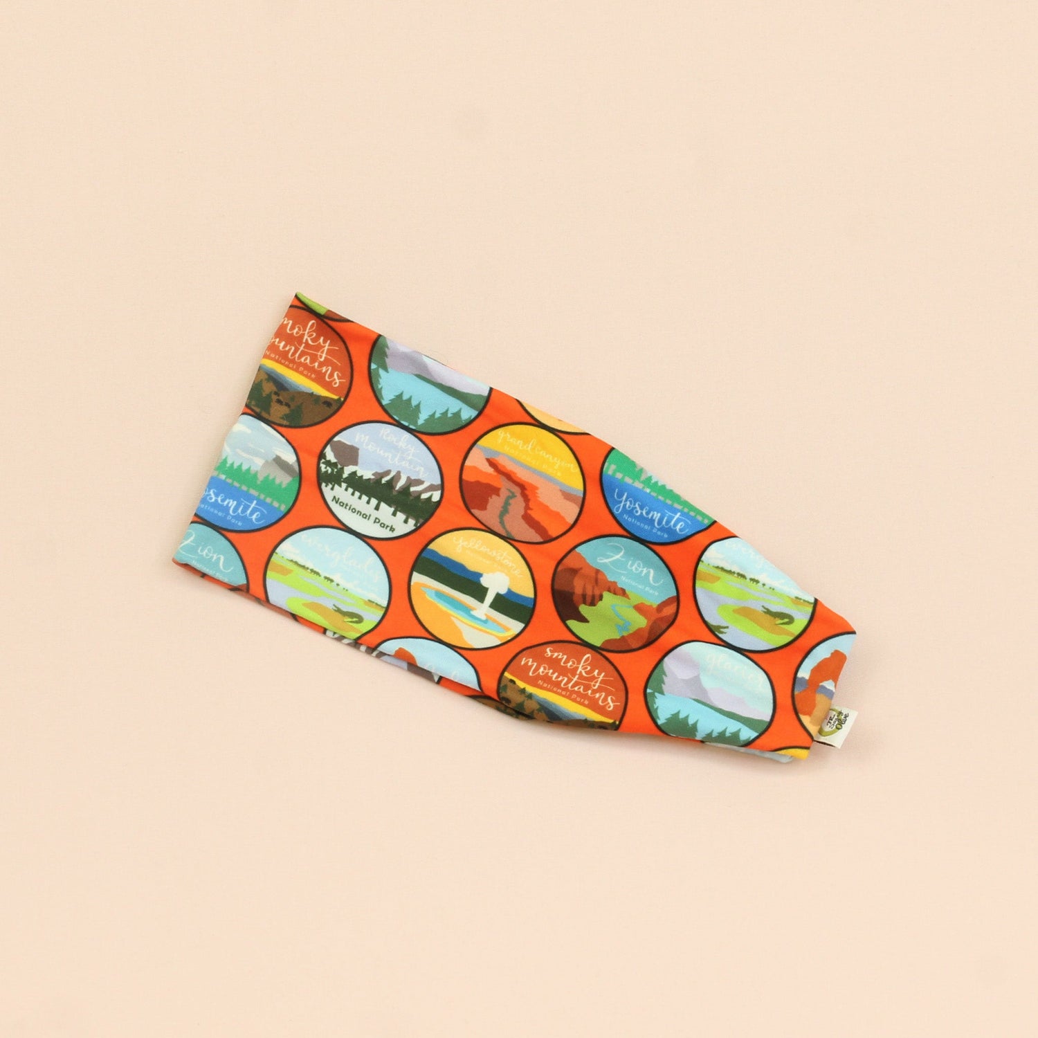 National Park Pass Stretch Headband - The Sassy Olive